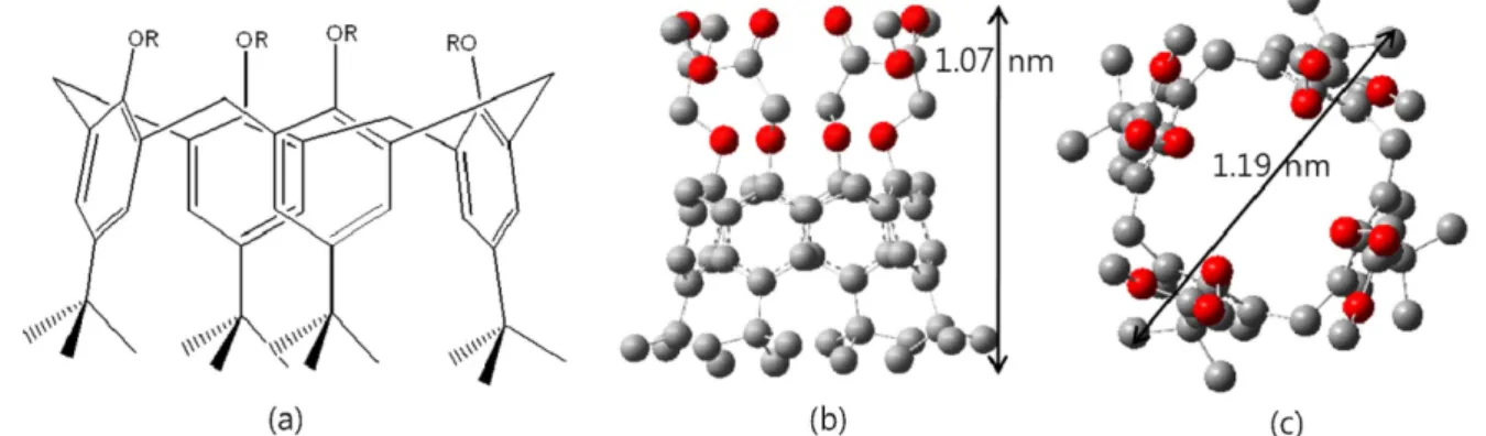 Fig. 1. Chemical &amp; PM3-optimized structures of CA[4]. (a) Chemical structure of CA[4] R=CH 2 COOCH 2 CH 3 , (b) the front view of CA[4], (c) the side view of CA[4], red spheres represent oxygen atoms, and gray spheres denote carbon atoms.