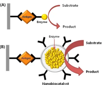 Fig. 5. Schematic diagrams of (A) NER-LISA using mesoporous silica[5] [Biosens. Bioelectron