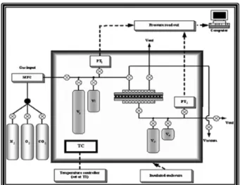 Fig. 2. The schematic diagram of gas permeation apparatus.