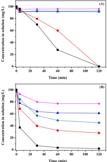 Fig. 3. Photographs of (A) chitosan/ γ-PGA nanoparticles and (B) algi- algi-nate beads containing nanoparticles in heavy metal solution.