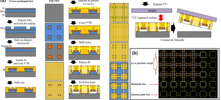 Fig. 1. (a) Schematic illustration of fabrication process, (b) Photomask design of silicon passive matrix.
