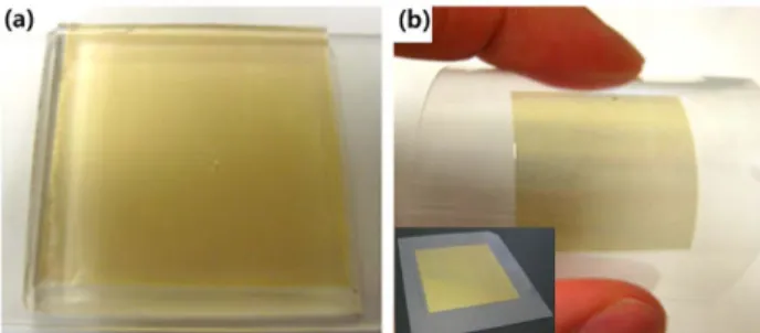 Fig. 5. PM device arrays transferred on (a) PDMS polymer and (b) flexible PET film.