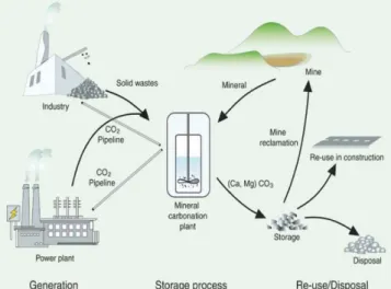 Fig. 1. Schematic of mineral carbonation [1].
