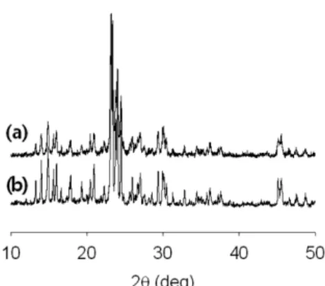 Fig. 2. SEM images of (a) HT-TS-1 and (b) MW-TS-1.