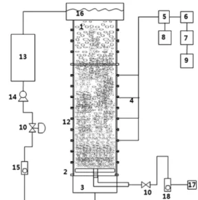 Fig. 1. Schematic diagram of experimental apparatus.