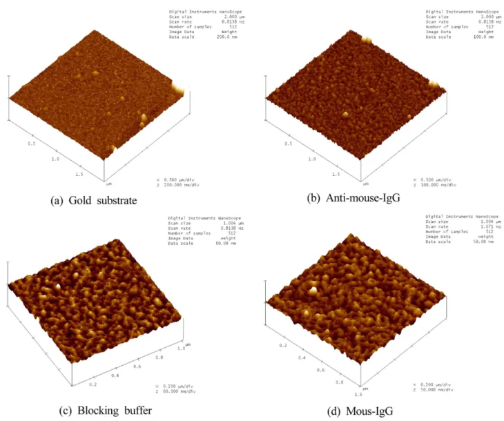 Fig. 6. Results of measuring frequency shift of outcomes which immobilized G-Anti MIgG conjugate and blocking buffer (BB) on gold by changes in time.