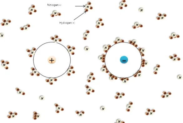 Fig. 3. Photographs of the lithium-ammonia solutions; (a)22 MPM;
