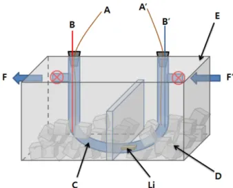 Fig. 8. Thermo-electric characteristics of Li(NH 3 ) n  with variations of temperature