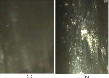 Fig. 12. SEM images of (a) acrylate copolymer surface with no-crack and (b) with crack (magnification: × 100)