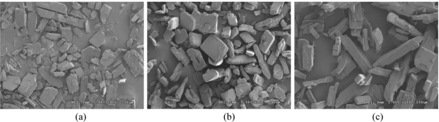 Fig. 6. Overlapping of PCA score plots with SEM micrographs matched.