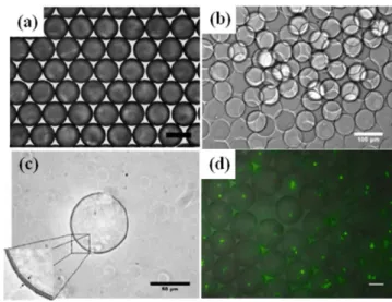 Fig. 7. Various microbeads and microcapsules generated using drop- drop-let-based microfluidic device (a)polyurethane microbeads[43]