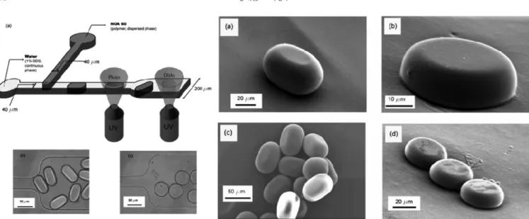 Fig. 9. Janus particles generated using droplet-based microfluidic device (a)organic-inorganic hybrid Janus particles[48] (b)Janus and ter- ter-nary particles having asymmetric surface properties[49].