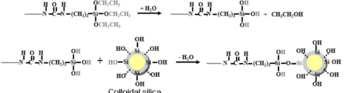 Table 2. Properties of coating films prepared from silylated WPU with different amounts of colloidal silica