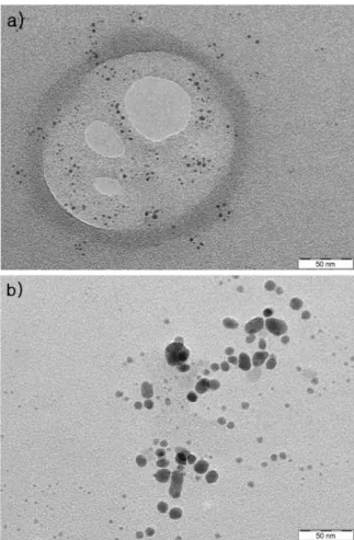 Fig. 5. Transmission electron microscope images of (a) colloidal sil- sil-ica and (b) C1 in Table 2.