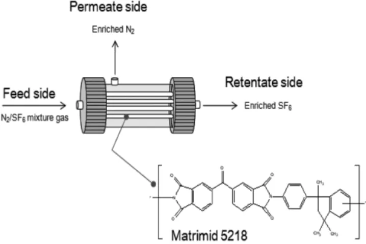 Fig. 1. Schematic diagram of N 2 /SF 6  mixture gas separation using polymeric membrane module.