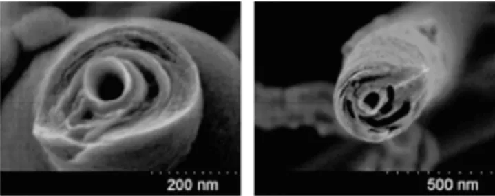 Fig. 5. Anionic sulfate surfactant mediated stabilization of graphene and growth of self-assembled TiO 2 -functionalized graphene sheet (FGS) hybrid nanostructures [26].
