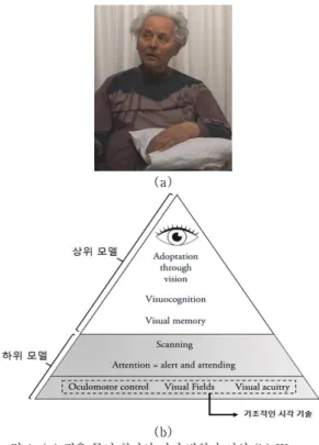 그림 1. (a) 편측 무시 환자의 머리 방향과 시선 (b) Warren의  시지각  계층  모델