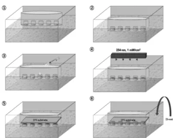Fig. 2. Schematic of mini-arrayer LS film method. 