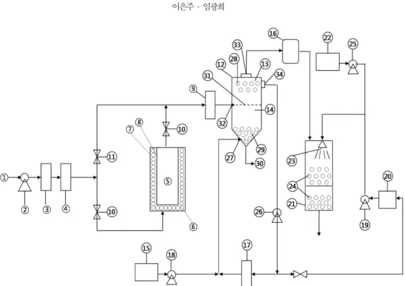 Fig. 2. Schematic diagram of hydrogen sulfide and ammonia feeding system.