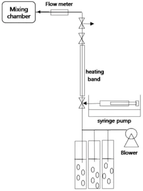 Fig. 3. Schematic diagram of toluene feeding system.