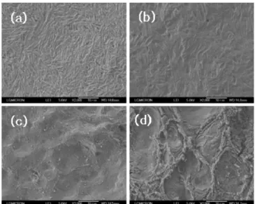 Fig. 8. Effect of α addition on AK roughness: (a) 0 M, (b) 0.27 M, (c) 0.41 M, (d) 0.64 M