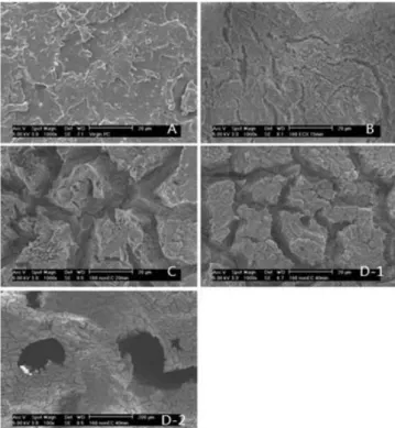 Fig. 4 는 기본 반응조건(PC 5 mmol, NaOH 0.5 mmol, EC 10 mmol) 에서 생성되는 ether 화합물의 반응온도 영향을 알아보기 위하여 반 응온도 180~220 o C 에서 해중합하였다
