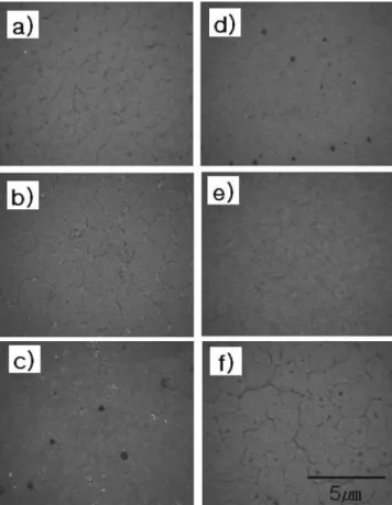 Fig. 4. AFM images of surface morphology on Crofer22APU after sandblasting.