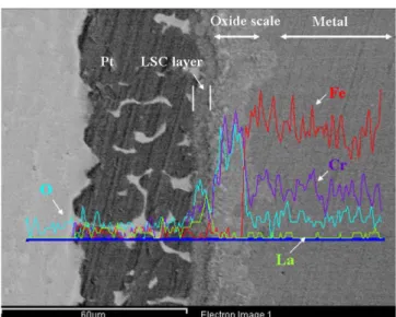 Fig. 8. SEM/EDX of LSC coated Crofer22APU after oxidation for 4000h.