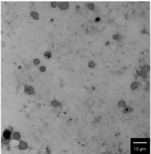 Fig. 6. Optical microscope image of (chitosan/heparin) 4  hollow capsules.