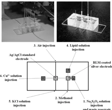 Fig. 4. Picture and schematic diagram of microfluidic system for the measurement of cupric ion concentration.