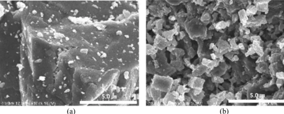 Fig. 4. SEM images of limestone(left: original, right: calcinated).