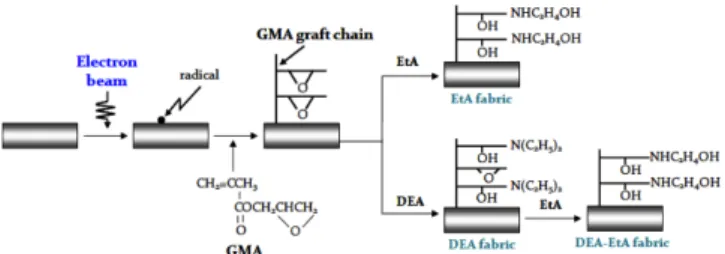 Fig. 1. Preparation scheme of the ion exchange group.