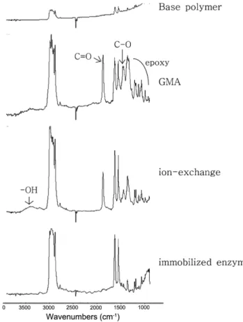 Fig. 3. SEM images of anion exchange non-woven fabric.