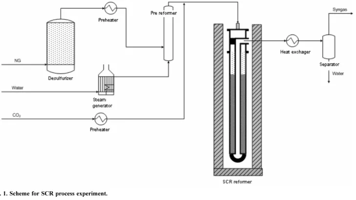 Fig. 1. Scheme for SCR process experiment.