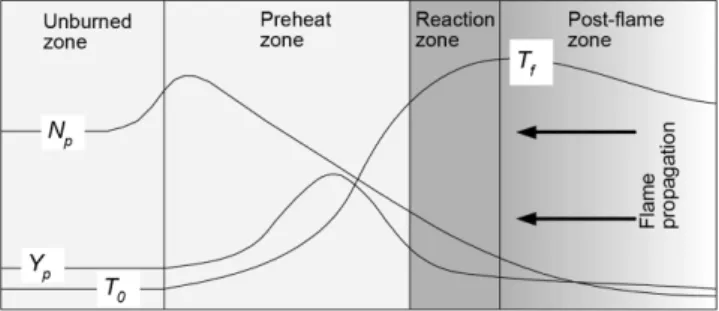 Fig. 2. Schematic illustration of model of the flame structure in lycopodium dust particles.