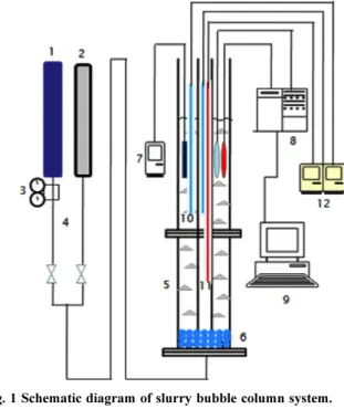 Fig. 1 Schematic diagram of slurry bubble column system. 