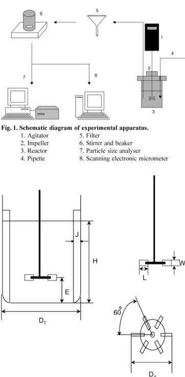 Fig. 2. Schematic designs of Rushton type standard reactor and six- six-paddle turbine impeller(D T =H=7.2 cm, D A =2.4 cm, E=2.4 cm, J=0.6 cm, L=0.7 cm, W=0.7 cm).