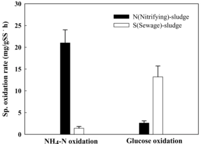 Fig. 1. Comparison of specific glucose/ammonium oxidation rate between sewage sludge and nitrifying sludge