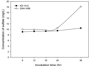 Fig. 4. Time evolution of sulfate concentration incubating the strains of KD-1212 and DAH-1056.