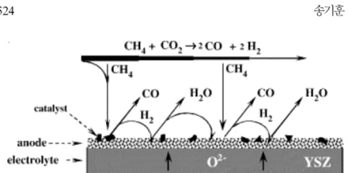 Fig. 5. CO 2  reforming reaction at anode side.
