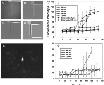 Fig. 5. The cell viability evaluated using nanoneedles of various diameters. The diameters of nanoneedles were controlled: