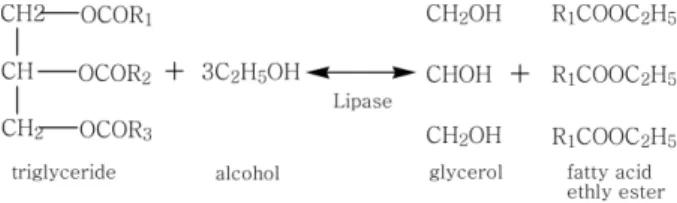 Fig. 1. Shematic diagram of the apparatus for enzymatic ethanolysis in supercritical carbon dioxide.