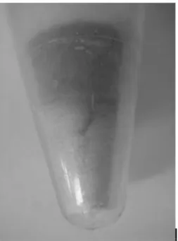 Fig. 5. Photographs of the culture broth after centrifugation.