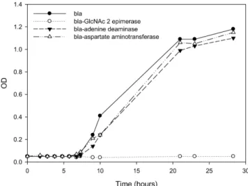 Fig. 5. Cell growth curve of E. coli harboring pET-bla (●), pET- pET-bla-asp ( △), pET-bla-ad (▼), and pET-bla-GlcNAc (○) at 200  µg/mL of ampicillin
