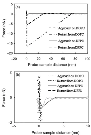 Fig. 7. Force-distance curves recorded over DPPC and DOPC at 25 o C: (A) long range to present adhesion pull off forces and (B) short range to present jump distances