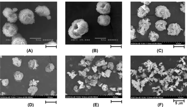 Fig. 3. Crystallinity(full) and average crystallite size(open) of sodalites obtained from the synthetic mixtures [x Na 2 O (x=2.5-7.5)·1.5 SiO 2 ·1.0 Al 2 O 3 ·180 H 2 O] with different Na 2 O contents.