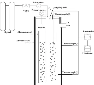 Fig. 1. Schematic diagram of experimental apparatus.