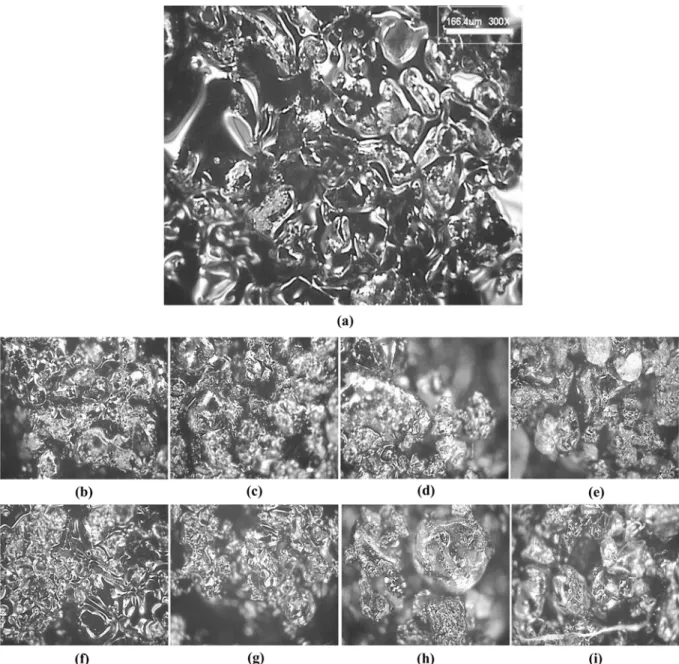 Fig. 5. Close-up view of oil sand samples: (a) original oil sand, (b) 360 o C, 15 MPa, (c) 360 o C, 20 MPa, (d) 360 o C, 25 MPa, (e) 360 o C, 30 MPa, (f) 380 o C, 15 MPa (g), 380 o C, 20 MPa (h), 380 o C, 25 MPa (i) and 380 o C, 30 MPa.