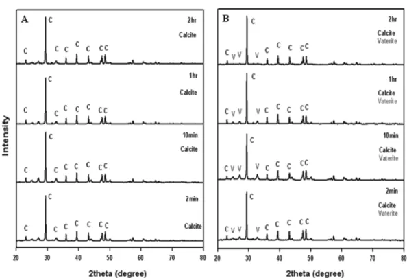 Fig. 5. The change of X-ray diffraction patterns of calcium carbonate, crystallized at pH = 8.5; (A) without, (B) with silk fibroin.