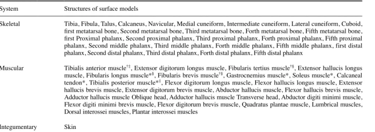 Table 1. 53 structures of surface models for four movements of foot System Structures of surface models 